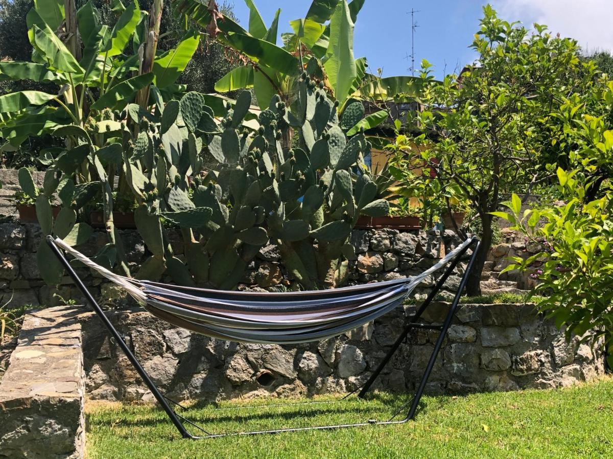 Il Vicolo Palinuro Villa Pisciotta Buitenkant foto
